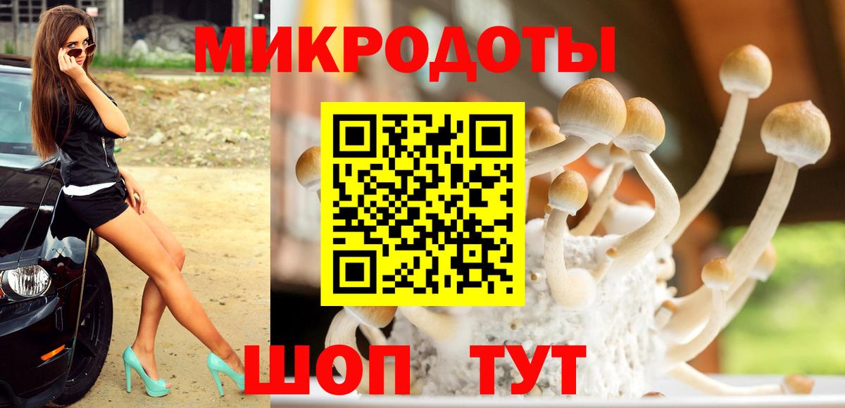 Псилоцибиновые грибы Psilocybine cubensis Батайск