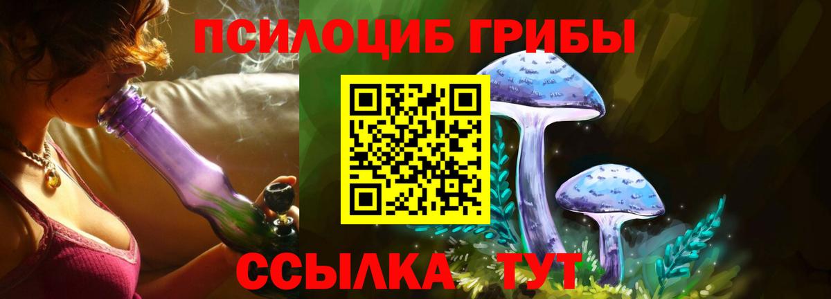 Батайск  купить наркоту  Вход с VPN  Псилоцибиновые грибы Magic Shrooms 